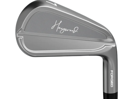 Haywood CB Custom Irons For Cheap